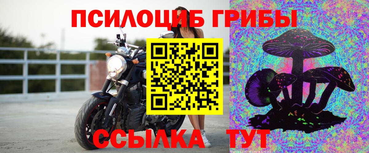 Галлюциногенные грибы Magic Shrooms  Галлюциногенные грибы Psilocybine cubensis  Таганрог  Вход с VPN 